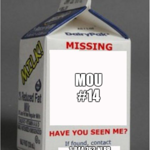 ADVO Asks about MOU #14.png