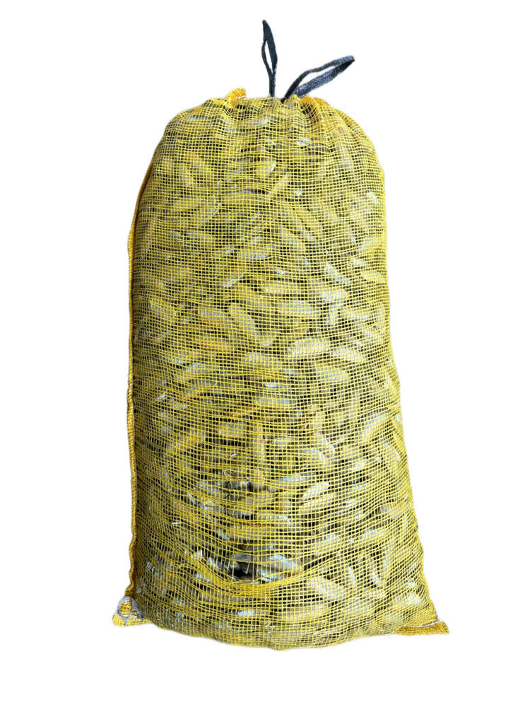 1734131972217.png